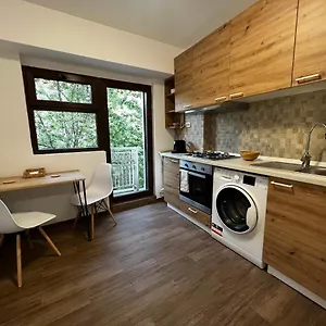Central Studio Apartament